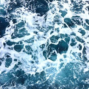 Meet your Posher, Becca